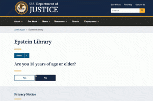 Afbeelding De Epstein-bestanden: Een nieuw tijdperk van samenzweringstheorieën