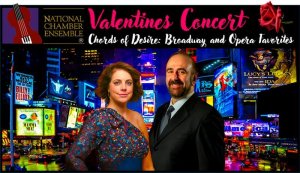 Afbeelding Ontdek de geheimen van UFO's tijdens de Ghost Doctors Winter Tour