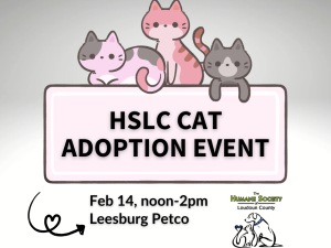 Afbeelding Een buitenaardse ervaring in het Smithsonian Museum!